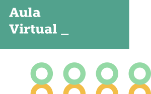 aula virtual